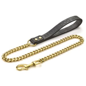 Gold Chain Dog Collar - Regal Dog - Big Dog Chains UK