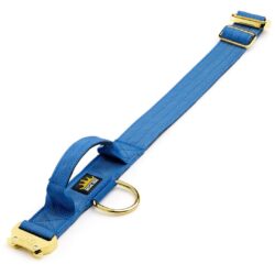 Ocean Blue 4cm Gold Series Dog Collar