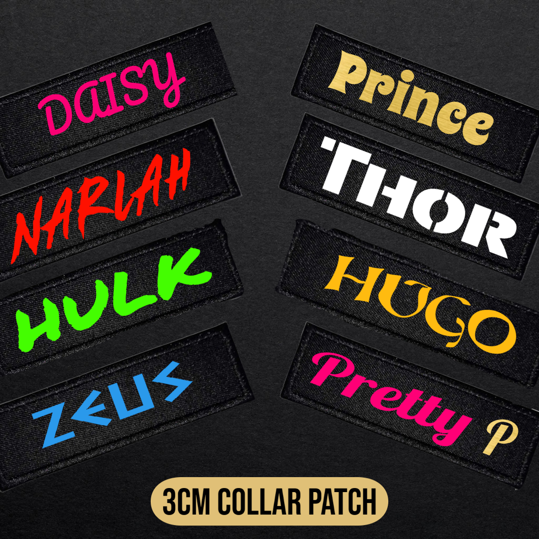 Patches - Regal Dog - Wide range of collar patches